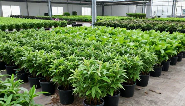 绿化施工中工具使用安全问题不容忽视